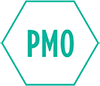 PMO Operation & Management
